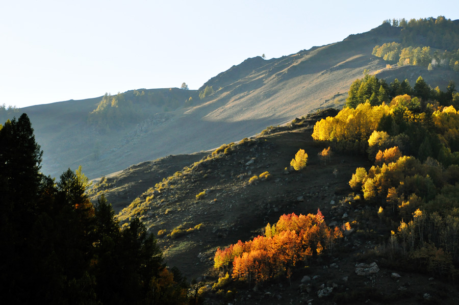 DSC_0471.jpg