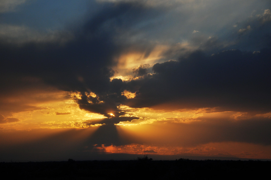 DSC_0849.jpg