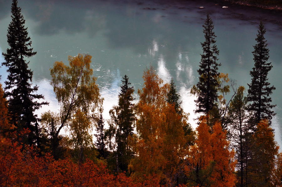DSC_0288.jpg