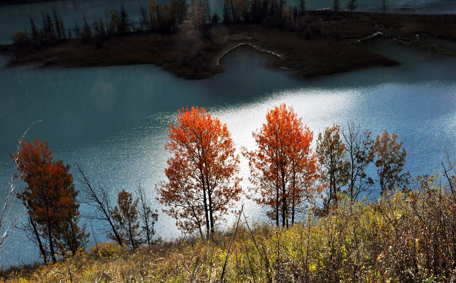 DSC_0331.jpg