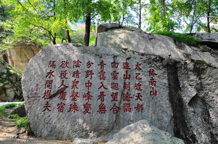 DSC_1390.jpg