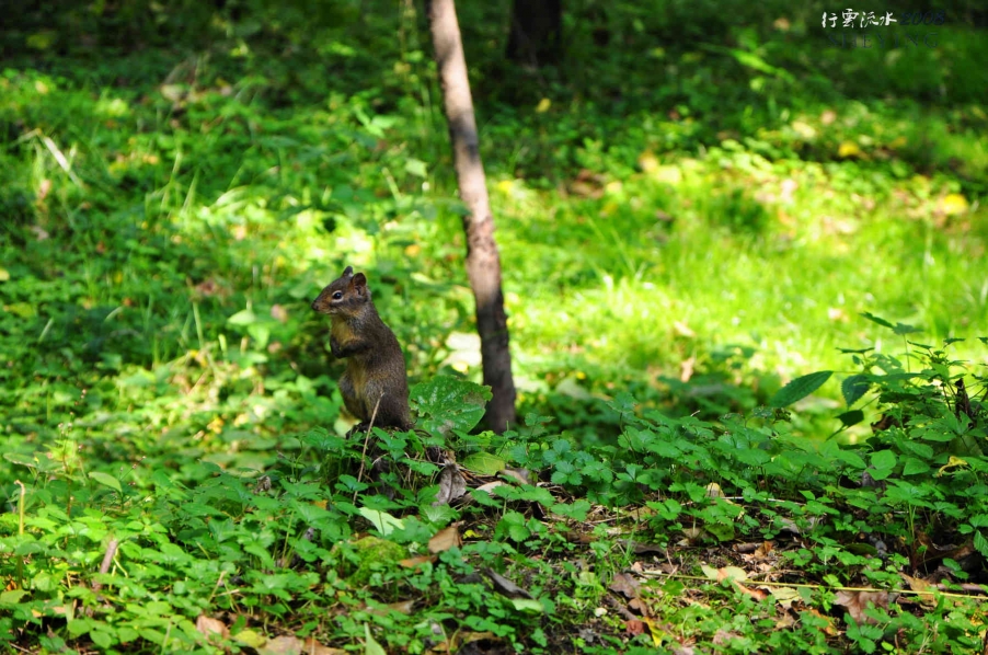 DSC_1406.jpg