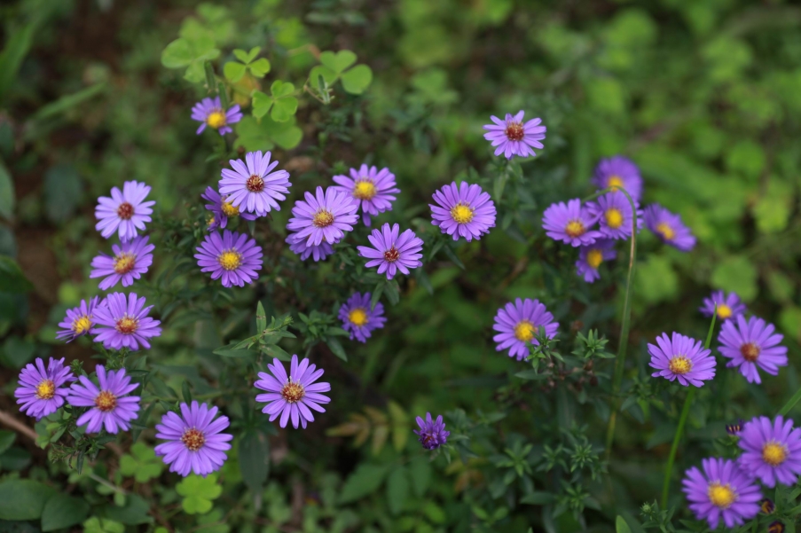 调整大小 IMG_0267.jpg