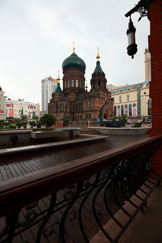 _MG_8342.jpg
