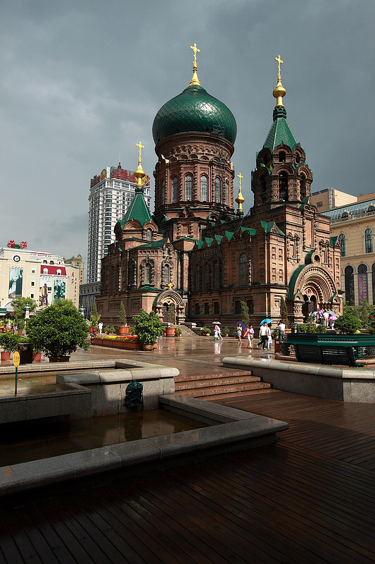 _MG_8355.jpg