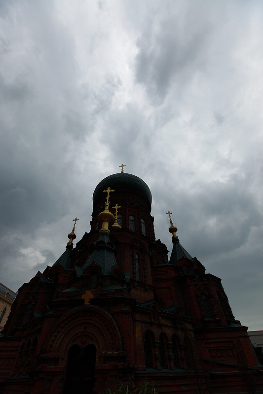 _MG_8397.jpg