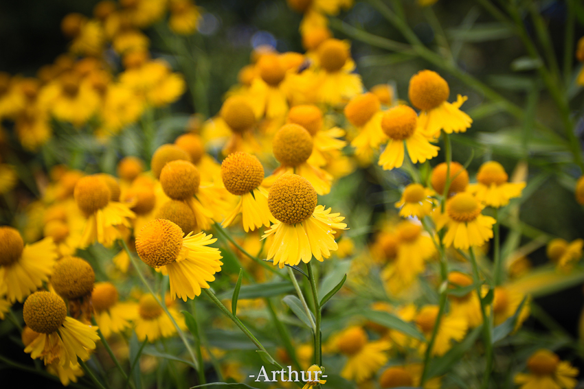 未命名 (4 - 11).jpg