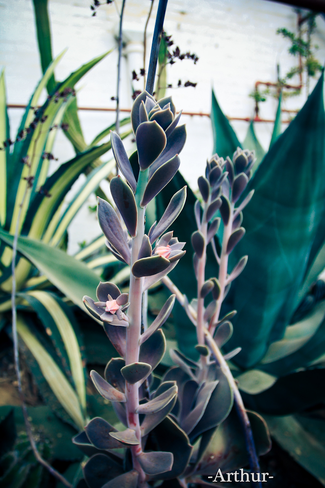 未命名 (5 - 11).jpg