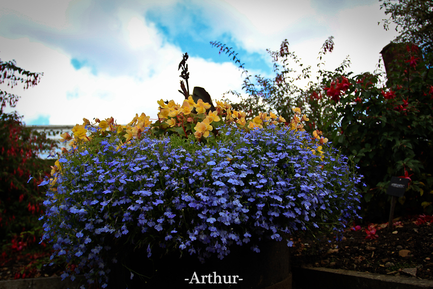 未命名 (6 - 11).jpg