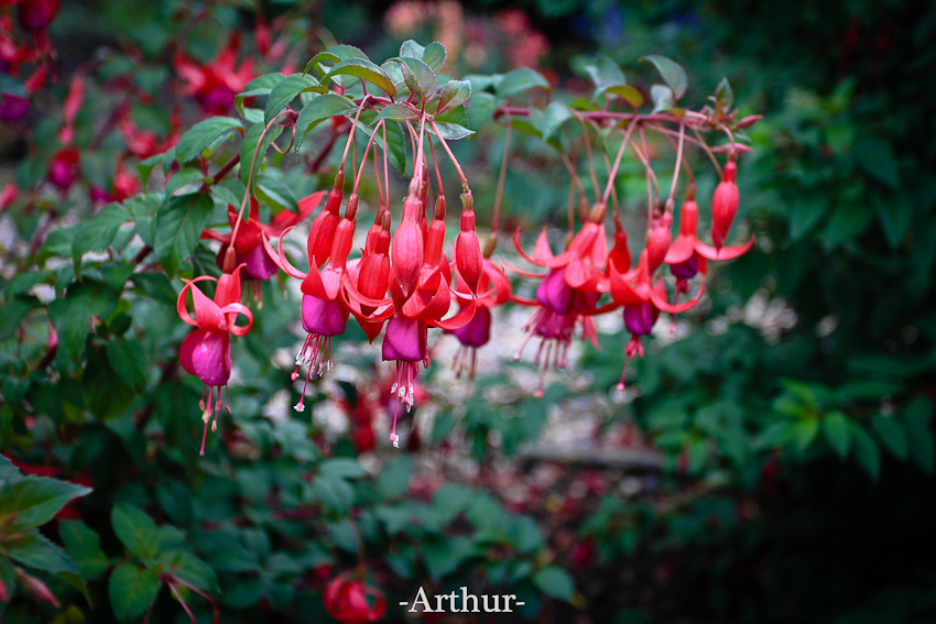 未命名 (7 - 11).jpg