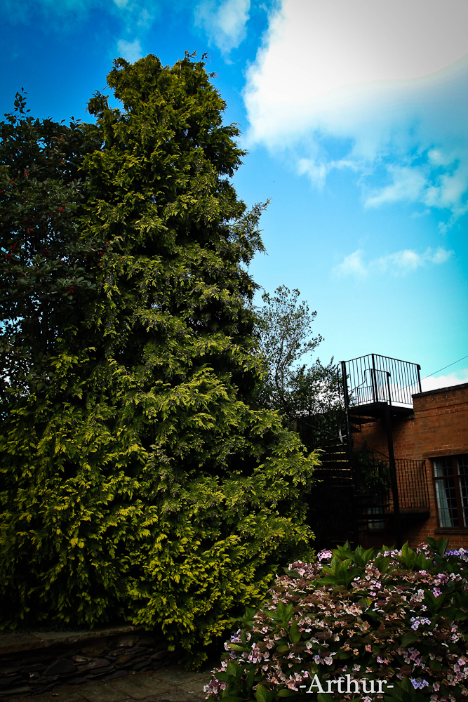 未命名 (8 - 11).jpg