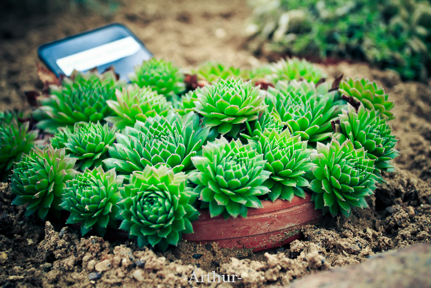 未命名 (10 - 11).jpg