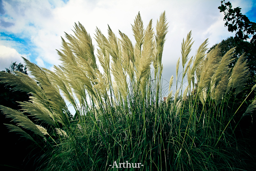 未命名 (11 - 11).jpg