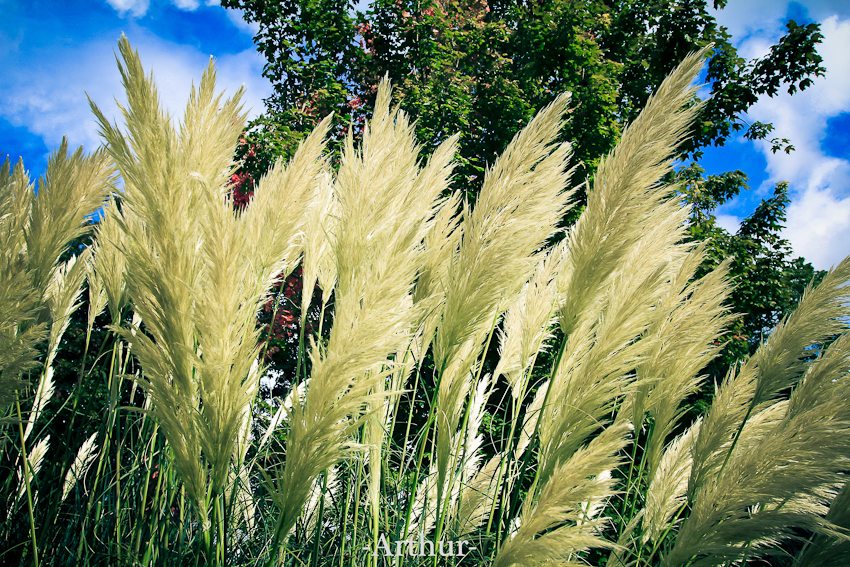 未命名 (12 - 11).jpg