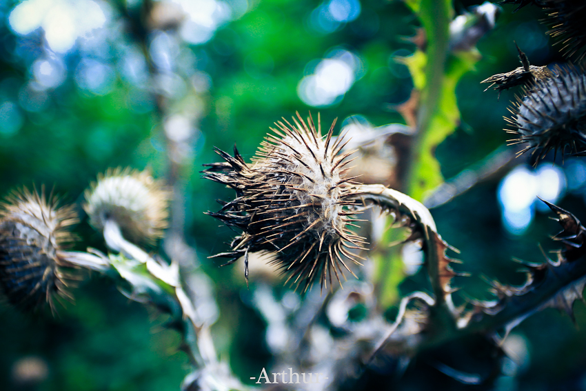 未命名 (13 - 11).jpg