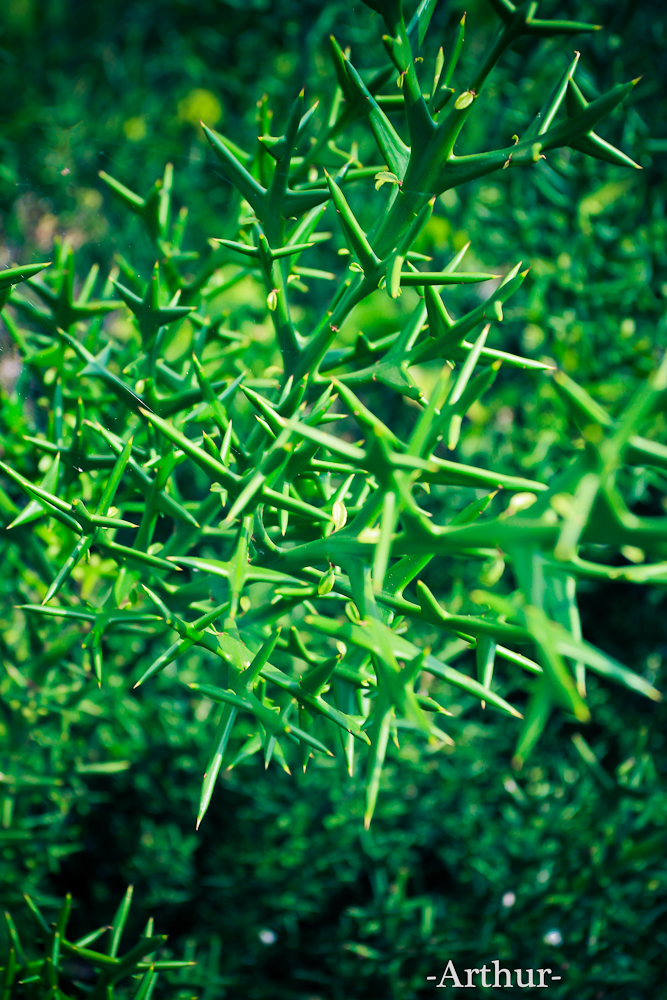 未命名 (14 - 11).jpg