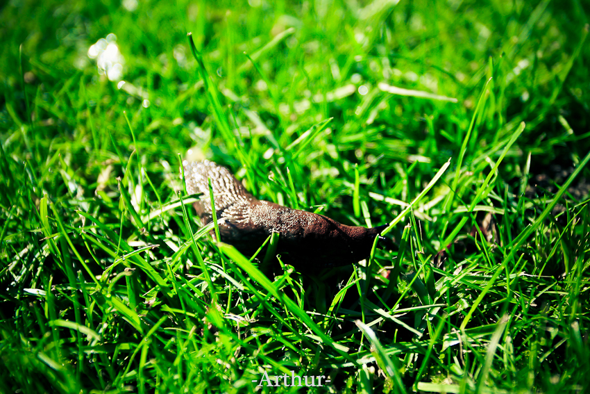 未命名 (4 - 1).jpg