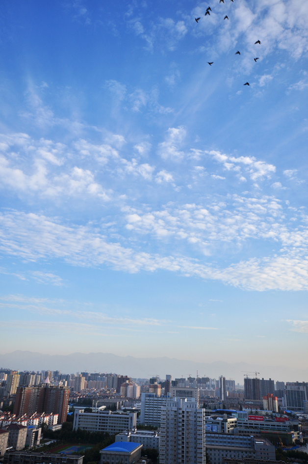 DSC_0155.JPG