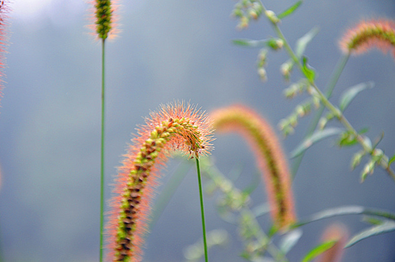 LostFile_JPG_1202496_副本.jpg