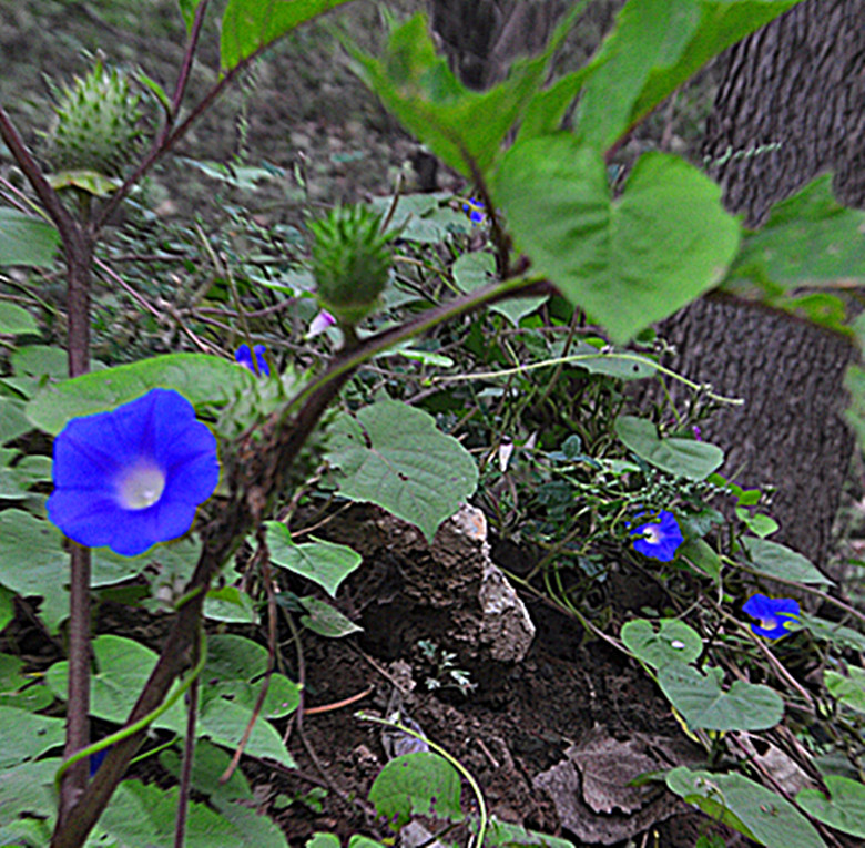 LostFile_JPG_1214208_副本.jpg