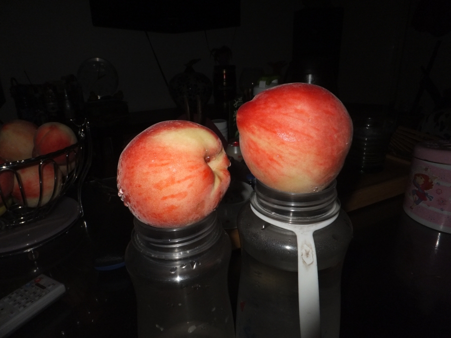 DSCF8403.JPG