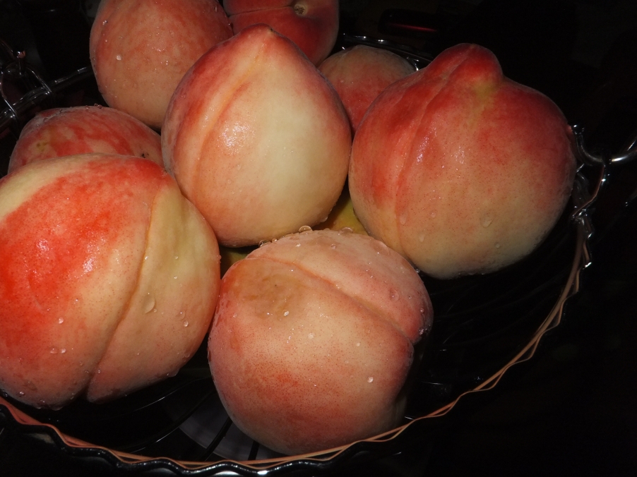 DSCF8390.JPG