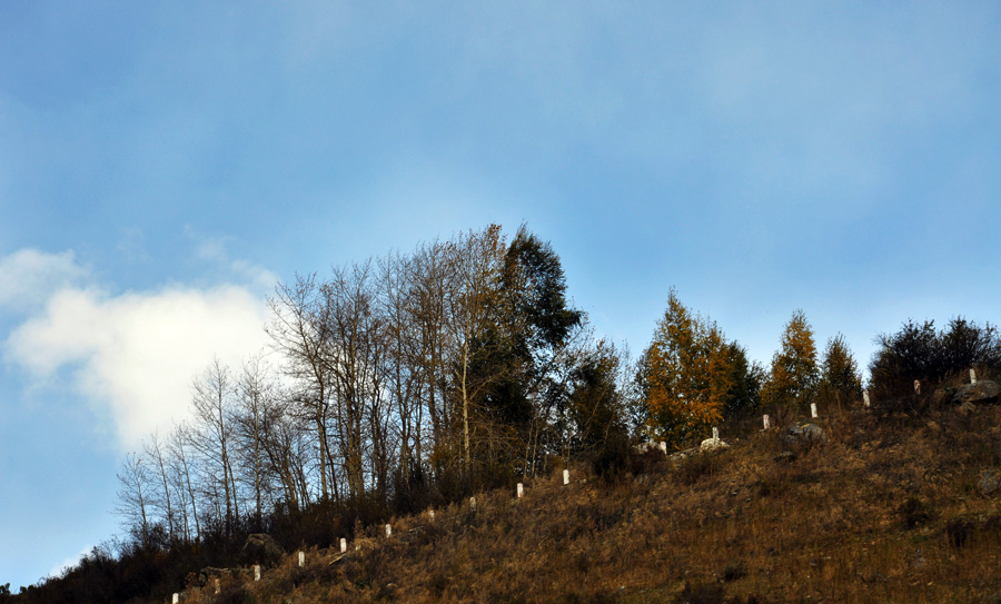 DSC_0764.jpg