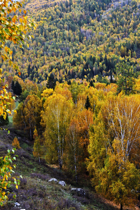 DSC_0769.jpg