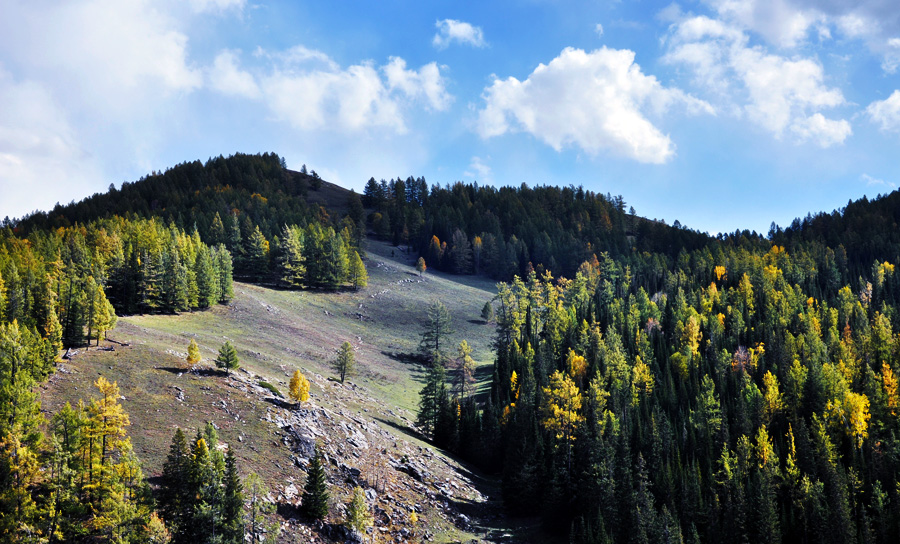 DSC_0789.jpg