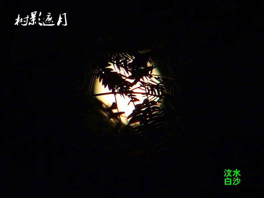 dscf3698_副本.jpg