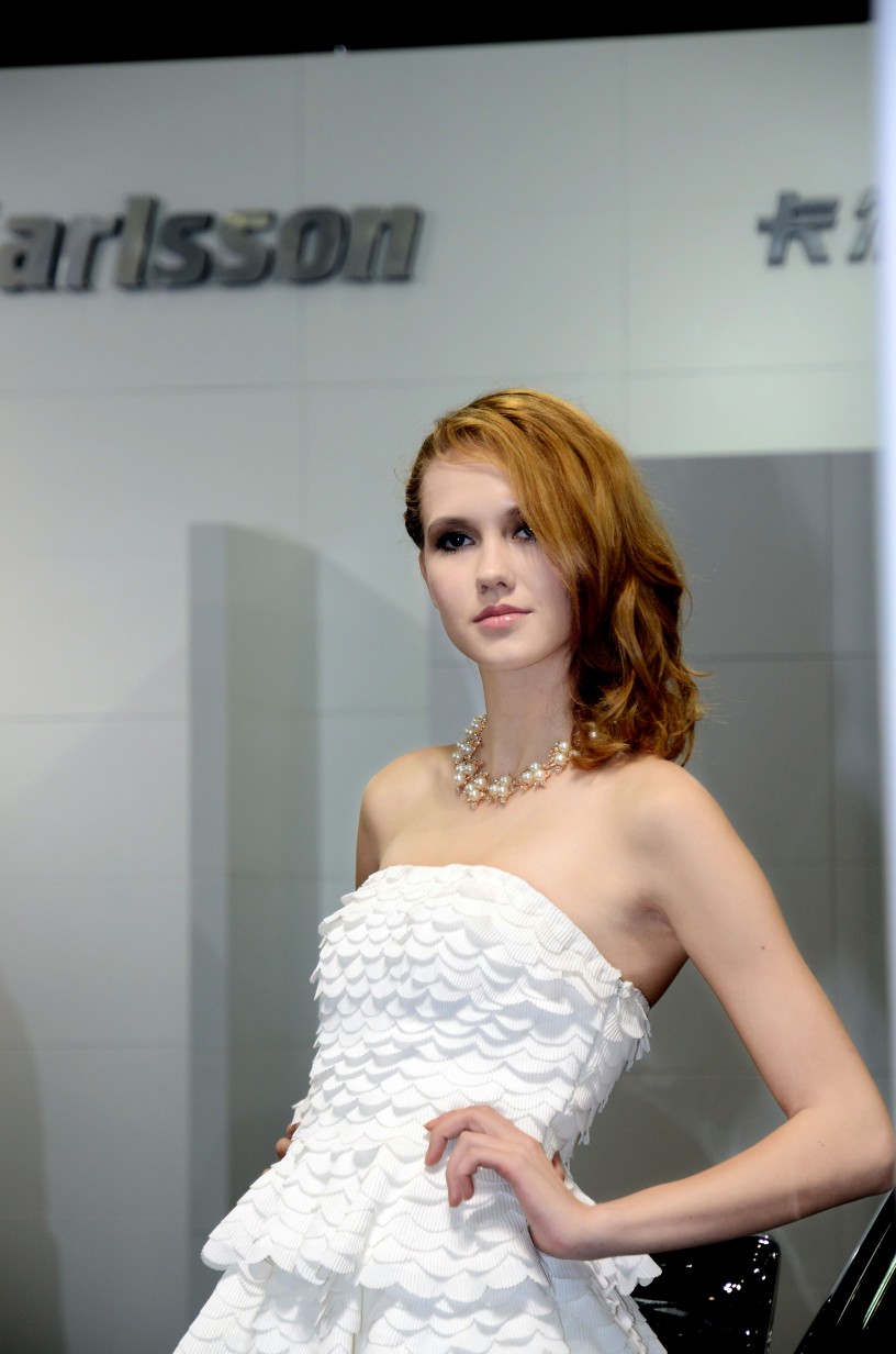 车展45(1).JPG