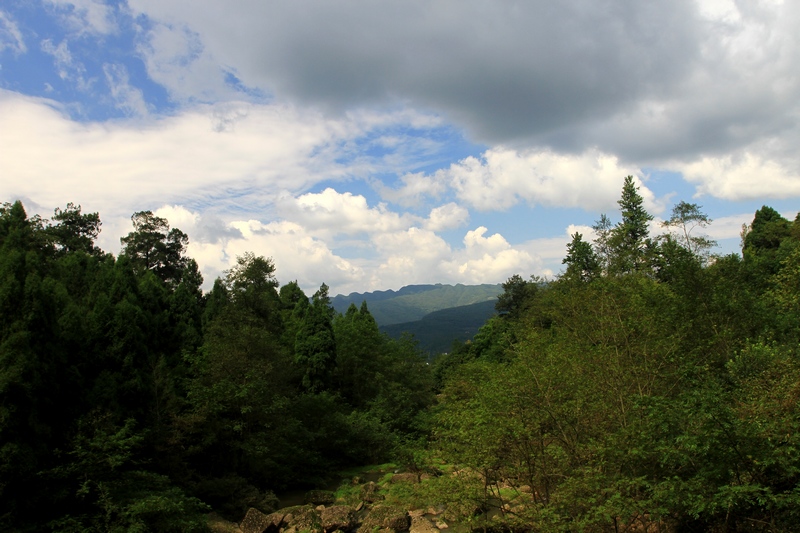 四川游 364.jpg