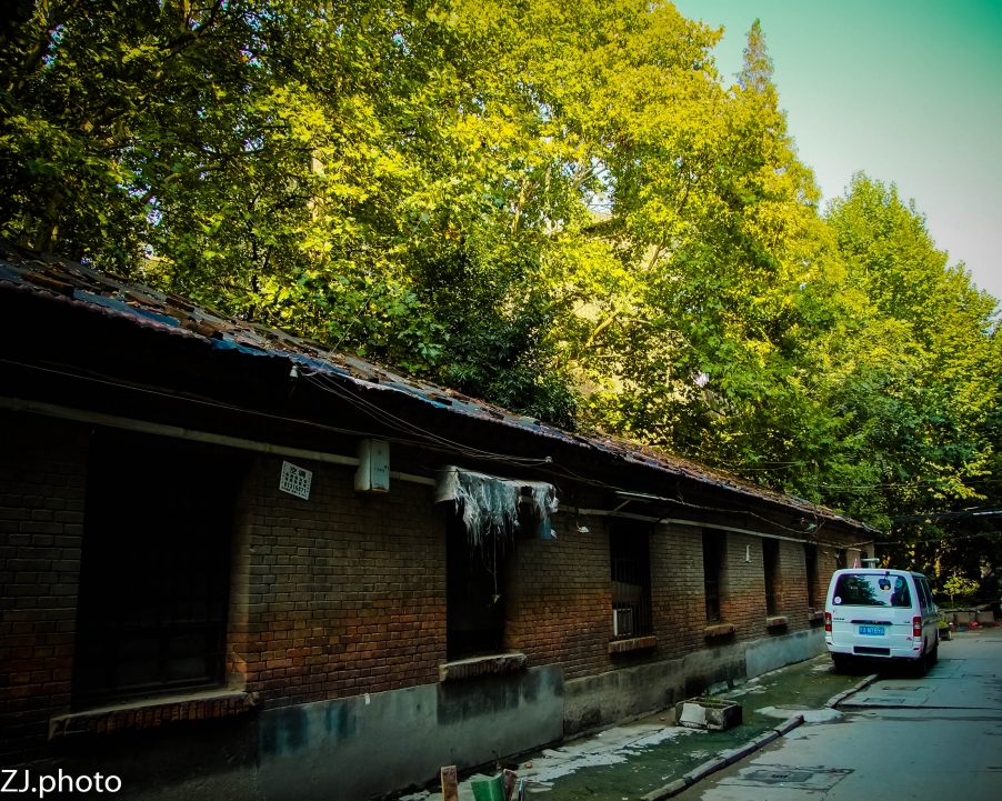DSCF6547.jpg
