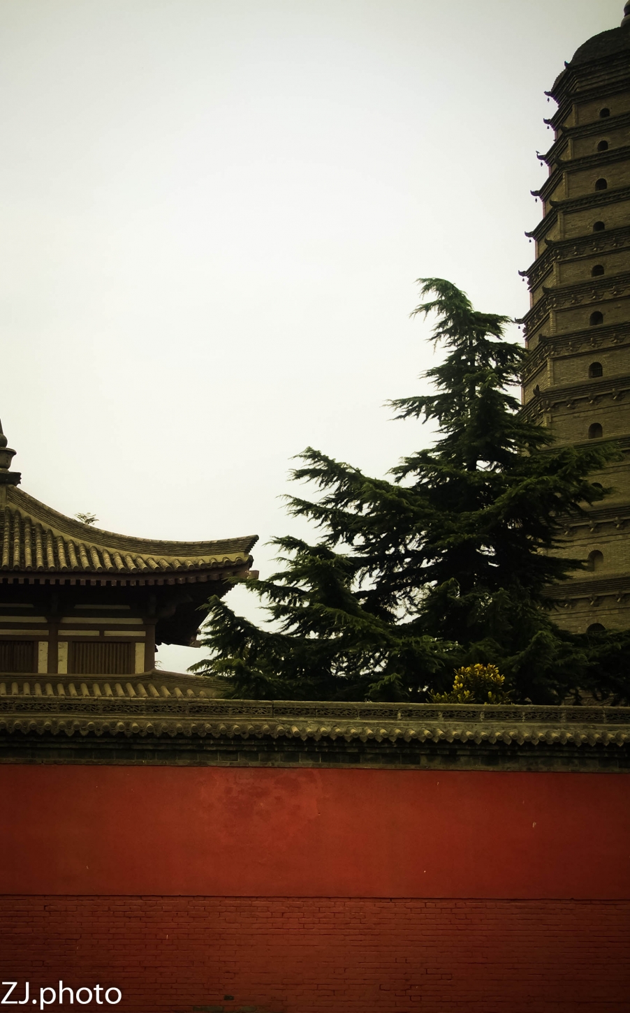 DSCF6689-1.jpg