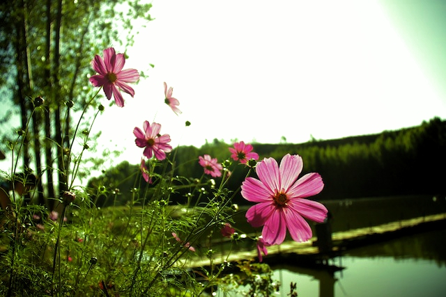 _MG_3692.jpg