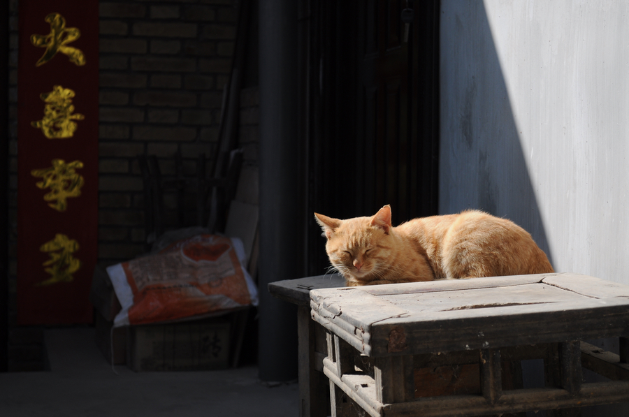 DSC_0120.jpg