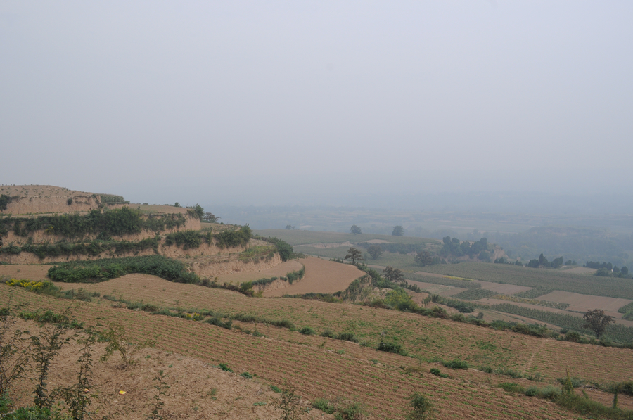 DSC_0219.jpg