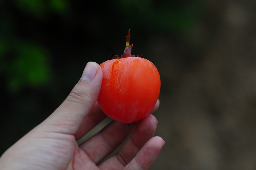 DSC_0332.jpg