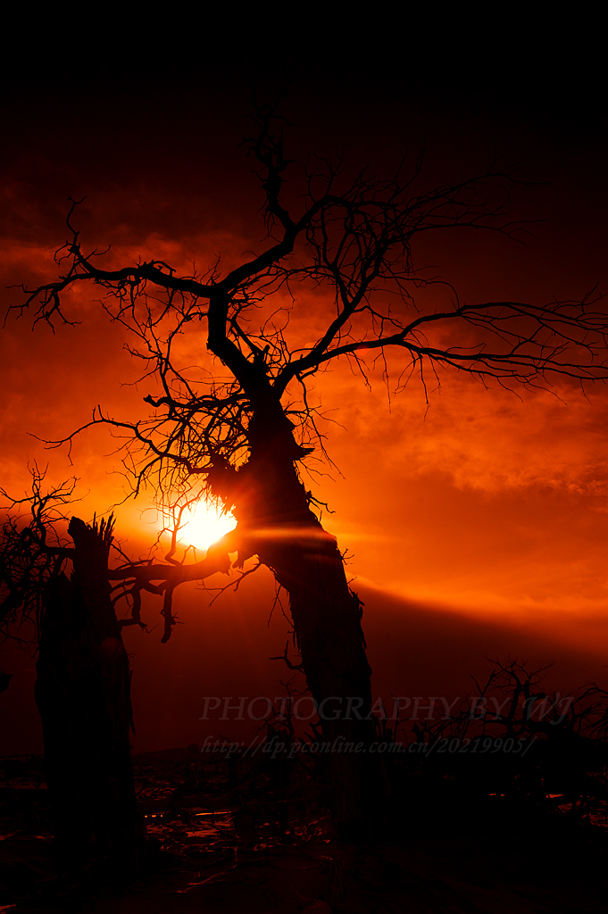 _DSC9988.jpg