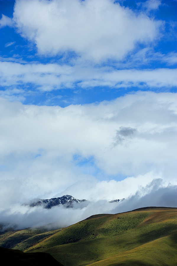 DSC_6771.jpg