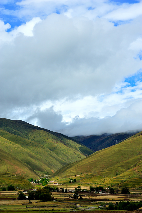 DSC_6792.jpg