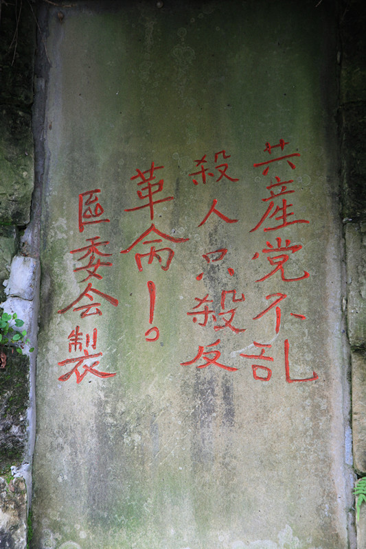 阆中 020_副本.jpg