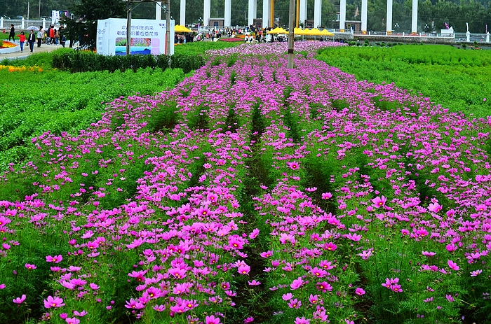 DSC_1667.jpg