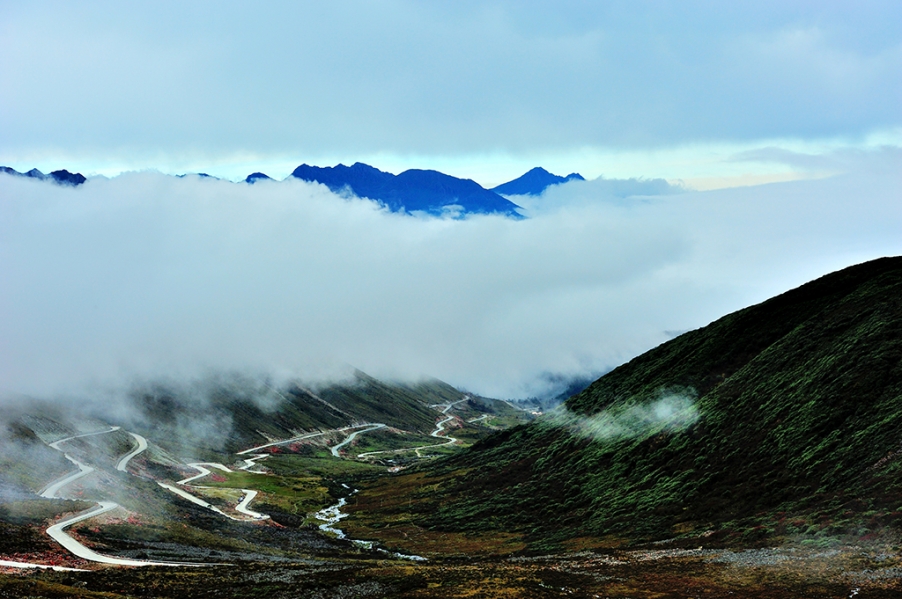 DSC_6515.jpg