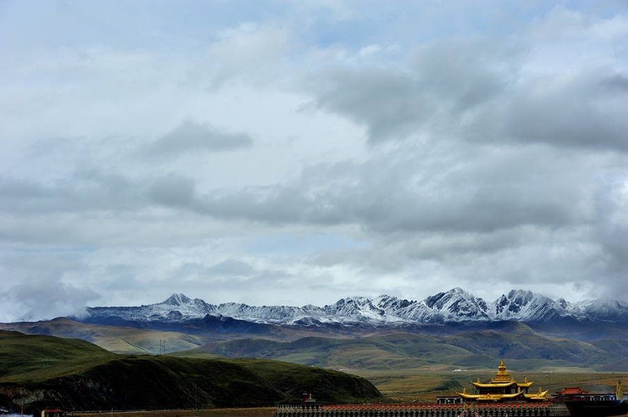DSC_6694.jpg