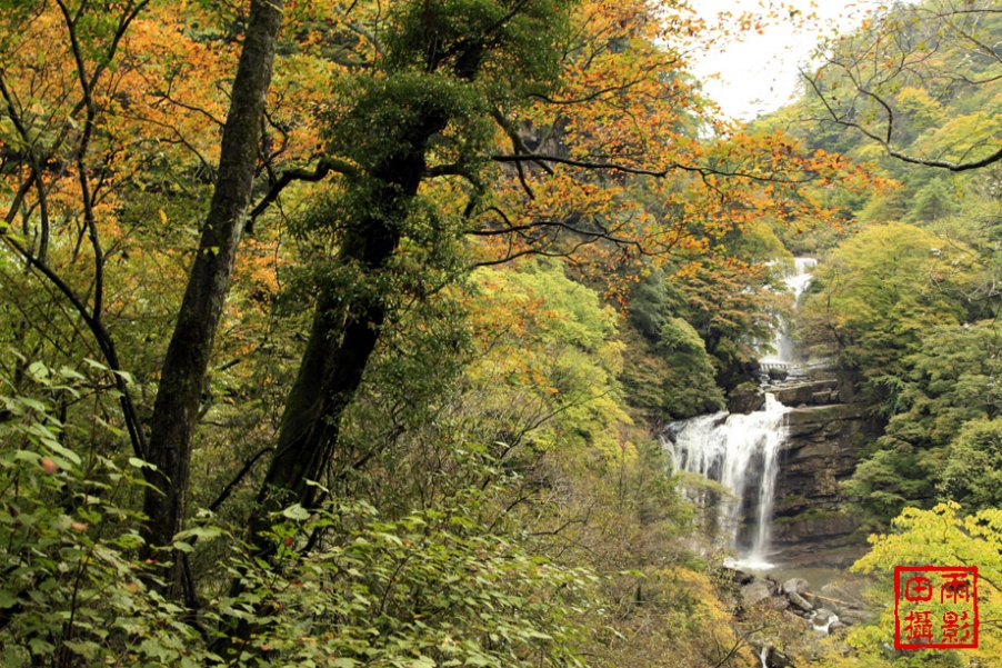 相机型号：Canon EOS 5D Mark Ⅱ