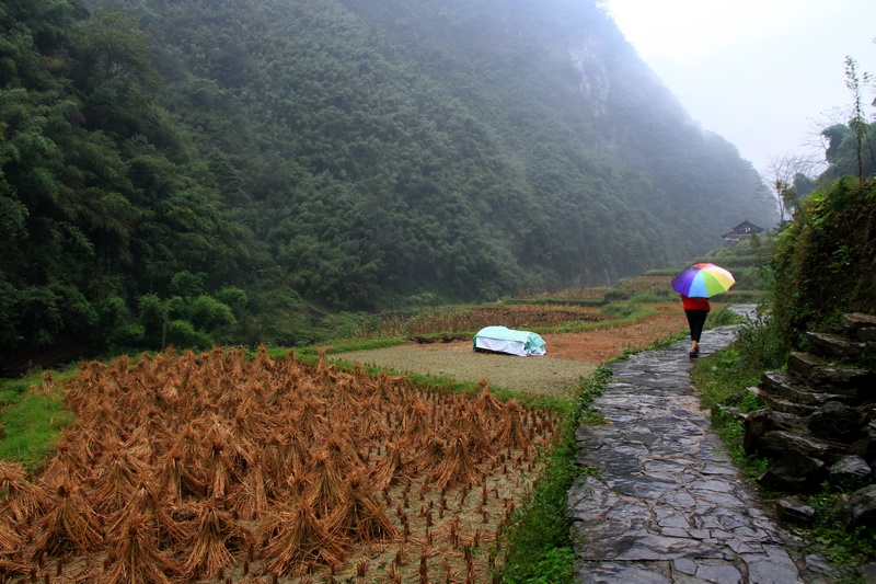 湖南长沙行 1052.jpg