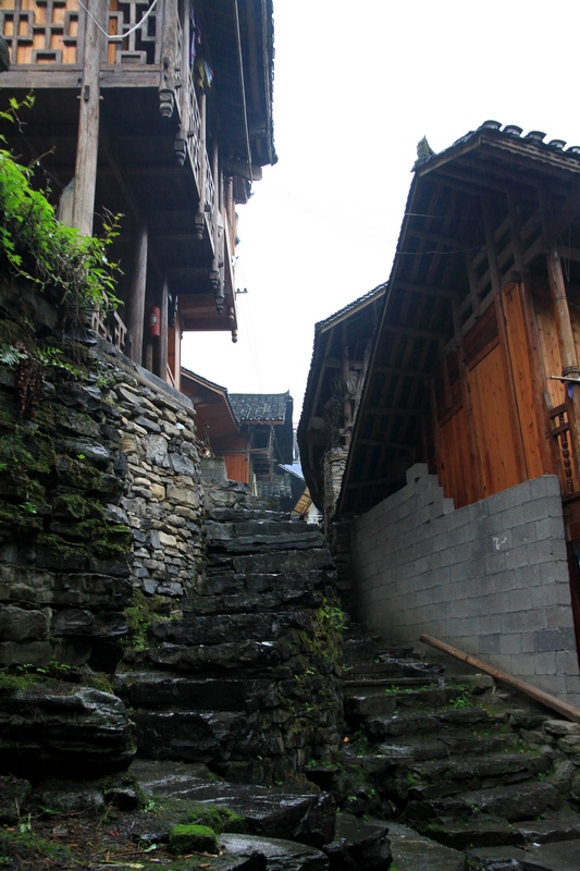 湖南长沙行 1069.jpg