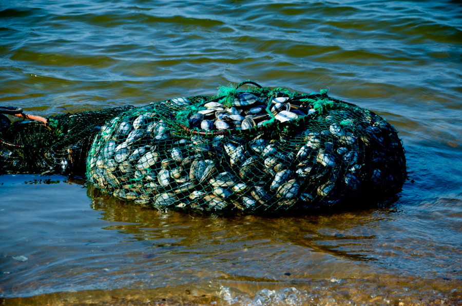 DSC_0543.jpg