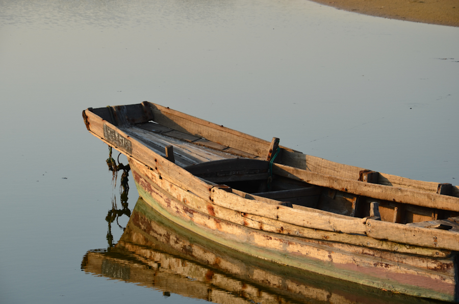 DSC_0675.jpg